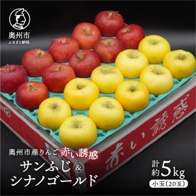奥州市産りんご赤い誘惑「サンふじ&シナノゴールド」約5kg(20玉)JA岩手 [AQ082]