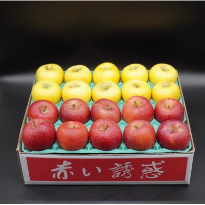 奥州市産りんご赤い誘惑「サンふじ&シナノゴールド」約5kg(20玉)JA岩手 [AQ082]