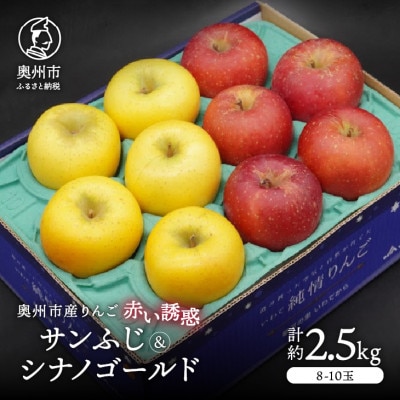 奥州市産りんご赤い誘惑「サンふじ&シナノゴールド」約2.5kg(8～10玉)[AQ083]