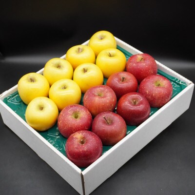 奥州市産りんご赤い誘惑「サンふじ&シナノゴールド」化粧箱入約5kg(16～20玉)[AQ087]