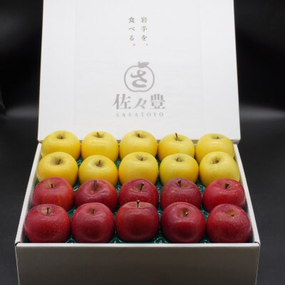 奥州市産りんご赤い誘惑「サンふじ&シナノゴールド」化粧箱入約5kg(16～20玉)[AQ087]