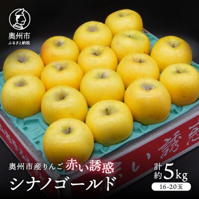 奥州市産りんご  赤い誘惑「シナノゴールド」約5kg(16～20玉)JA岩手ふるさと [AQ084]