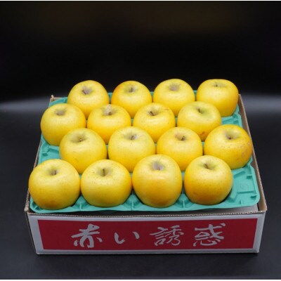 奥州市産りんご  赤い誘惑「シナノゴールド」約5kg(16～20玉)JA岩手ふるさと [AQ084]