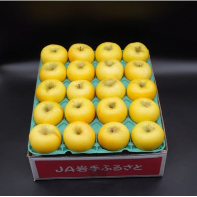 奥州市産りんご  赤い誘惑「シナノゴールド」約5kg(16～20玉)JA岩手ふるさと [AQ084]