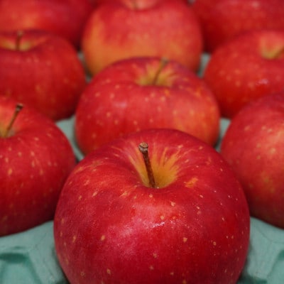 【お試し用】 江刺りんご「紅ロマン」 6個【冷蔵】[AQ089]