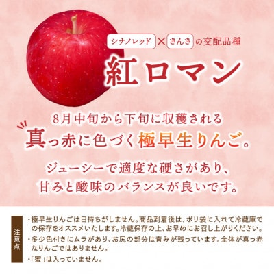 【お試し用】 江刺りんご「紅ロマン」 6個【冷蔵】[AQ089]