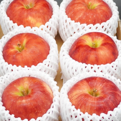 【お試し用】 江刺りんご「サンつがる」6個【冷蔵】 [AQ090]