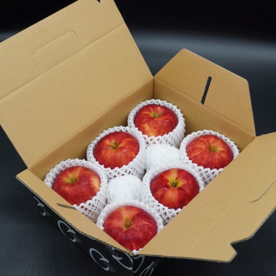 【お試し用】 江刺りんご「サンつがる」6個【冷蔵】 [AQ090]