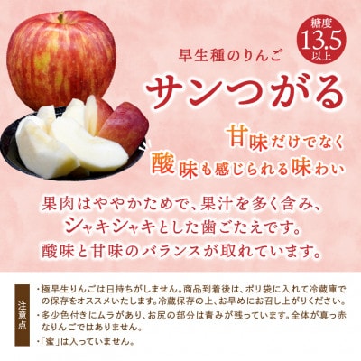 【お試し用】 江刺りんご「サンつがる」6個【冷蔵】 [AQ090]