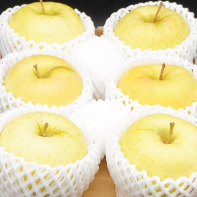 【お試し用】 江刺りんご「トキ」6個【冷蔵】 [AQ091]