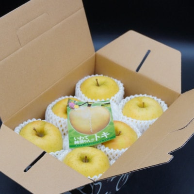 【お試し用】 江刺りんご「トキ」6個【冷蔵】 [AQ091]