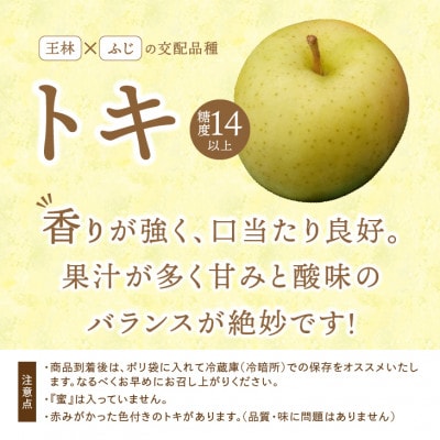 【お試し用】 江刺りんご「トキ」6個【冷蔵】 [AQ091]