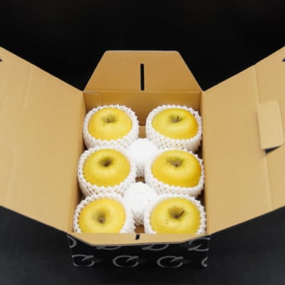 【お試し用】江刺りんご「シナノゴールド」6玉[AQ094]