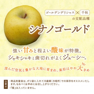 【お試し用】江刺りんご「シナノゴールド」6玉[AQ094]