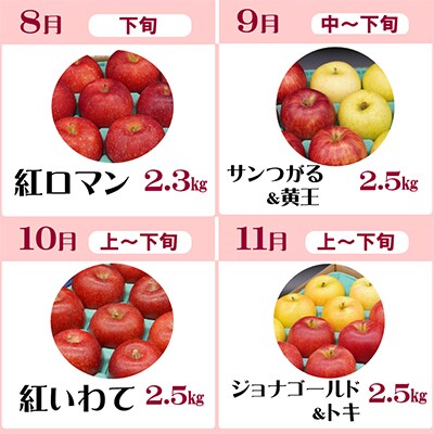 【発送月固定定期便】奥州市りんご定期便(8～3月)江刺りんごや新ブランド食べ比べ[AQ029]全8回