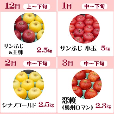 【発送月固定定期便】奥州市りんご定期便(8～3月)江刺りんごや新ブランド食べ比べ[AQ029]全8回