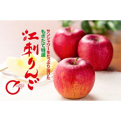 【発送月固定定期便】奥州市りんご定期便(8～3月)江刺りんごや新ブランド食べ比べ[AQ029]全8回