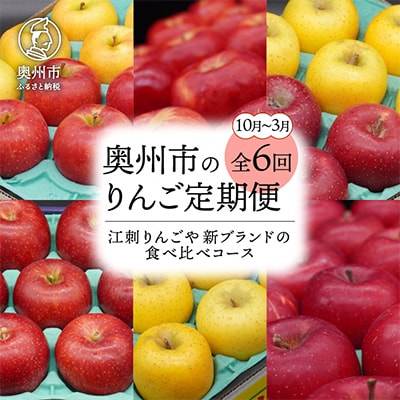 【発送月固定定期便】奥州市りんご定期便(10～3月)江刺りんごや新ブランド食べ比べ[AQ030全6回