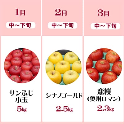 【発送月固定定期便】奥州市りんご定期便(10～3月)江刺りんごや新ブランド食べ比べ[AQ030全6回