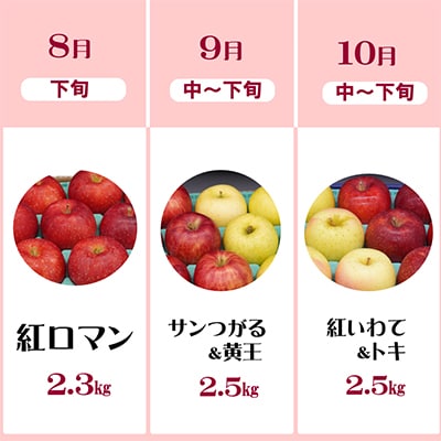 【発送月固定定期便】奥州市りんご定期便(8～10月)江刺りんごなどの食べ比べ[AQ033]全3回