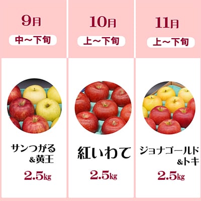 【発送月固定定期便】奥州市のりんご定期便(9～11月)江刺りんごなどの食べ比べ[AQ034] 全3回