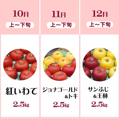 【発送月固定定期便】奥州市りんご定期便(10～12月)江刺りんごなどの食べ比べ[AQ035]全3回
