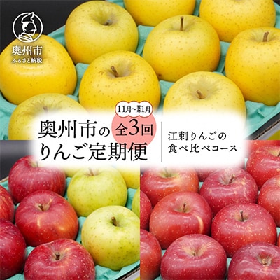 【発送月固定定期便】奥州市りんご定期便(11月～翌年1月)江刺りんごの食べ比べ[AQ036] 全3回