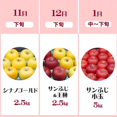 【発送月固定定期便】奥州市りんご定期便(11月～翌年1月)江刺りんごの食べ比べ[AQ036] 全3回