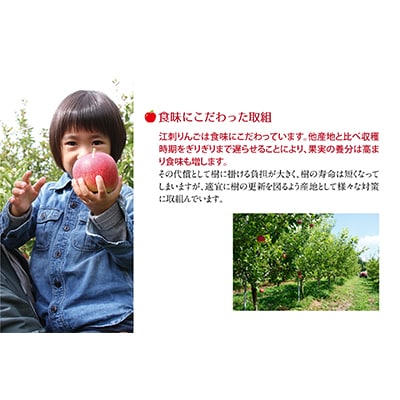 【発送月固定定期便】奥州市りんご定期便(11月～翌年1月)江刺りんごの食べ比べ[AQ036] 全3回