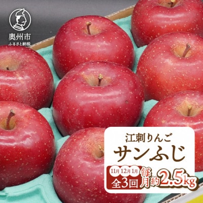 【発送月固定定期便】【11月開始予定】奥州市りんご定期便 江刺りんご「サンふじ」[AQ096]全3回