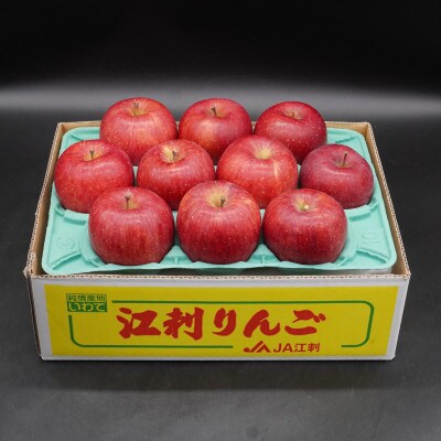 【発送月固定定期便】【11月より発送予定】奥州市のりんご江刺りんごの食べ比べ [AQ097]全3回