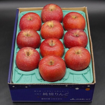 【発送月固定定期便】【11月より発送予定】奥州市のりんご江刺りんごの食べ比べ [AQ097]全3回