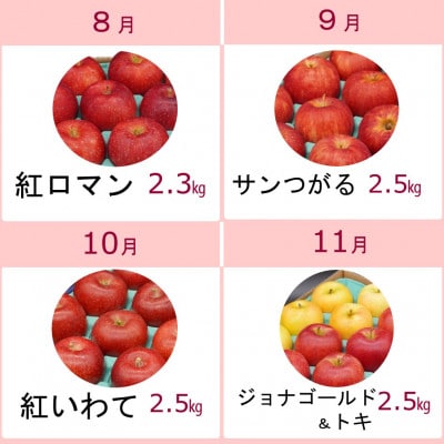 【発送月固定定期便】奥州市りんご定期便(8～3月)江刺りんごや新ブランド食べ比べ[AQ029]全8回