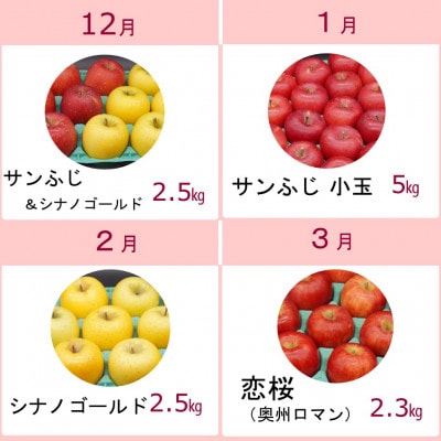 【発送月固定定期便】奥州市りんご定期便(8～3月)江刺りんごや新ブランド食べ比べ[AQ029]全8回