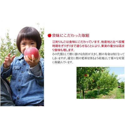 【発送月固定定期便】奥州市りんご定期便(8～3月)江刺りんごや新ブランド食べ比べ[AQ029]全8回