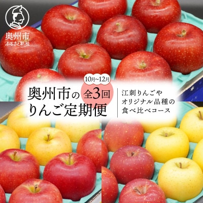 【発送月固定定期便】奥州市りんご定期便(10～12月)江刺りんごなどの食べ比べ[AQ035]全3回