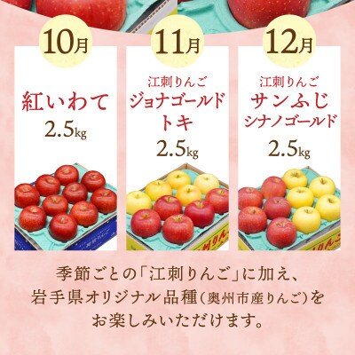 【発送月固定定期便】奥州市りんご定期便(10～12月)江刺りんごなどの食べ比べ[AQ035]全3回