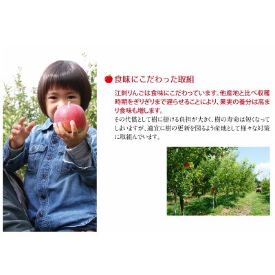 【発送月固定定期便】奥州市りんご定期便(10～12月)江刺りんごなどの食べ比べ[AQ035]全3回