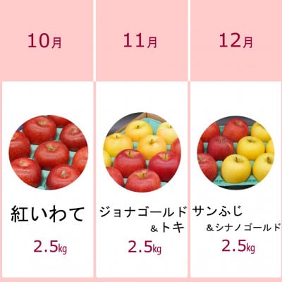 【発送月固定定期便】奥州市りんご定期便(10～3月)江刺りんご新ブランド食べ比べ[AQ030]全6回