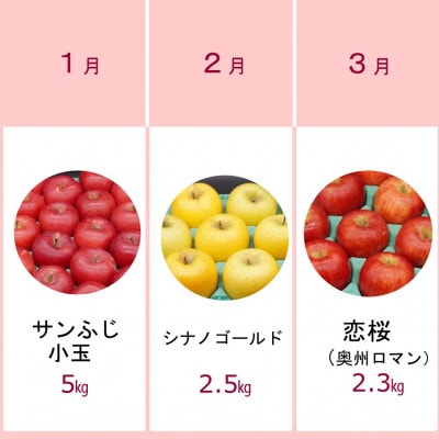 【発送月固定定期便】奥州市りんご定期便(10～3月)江刺りんご新ブランド食べ比べ[AQ030]全6回