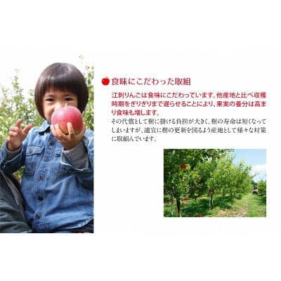 【発送月固定定期便】奥州市りんご定期便(10～3月)江刺りんご新ブランド食べ比べ[AQ030]全6回
