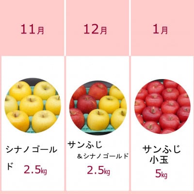 【発送月固定定期便】奥州市りんご定期便(11月～翌年1月)江刺りんごの食べ比べ[AQ036]全3回