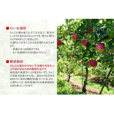 【発送月固定定期便】奥州市りんご定期便(11月～翌年1月)江刺りんごの食べ比べ[AQ036]全3回