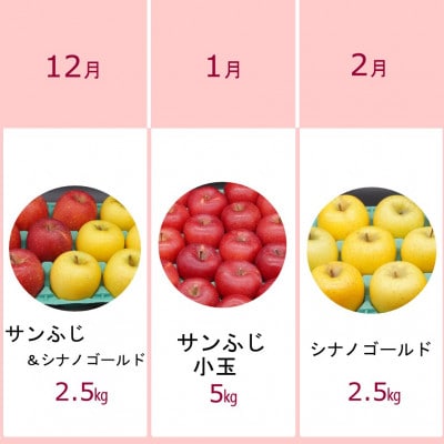 【発送月固定定期便】奥州市りんご定期便(12月～翌年2月)江刺りんごの食べ比べ[AQ037]全3回