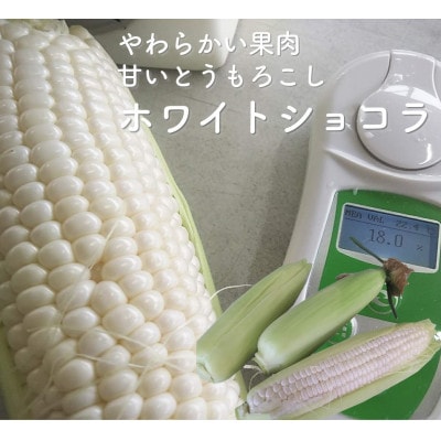 数量限定 先行受付 白いとうもろこしホワイトショコラ　糖度17度以上 [T0012]