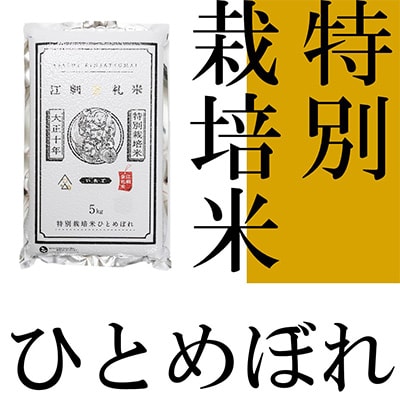 精米】江刺金札米ひとめぼれパック米 5kg 令和5年産 特別栽培米 [A0034