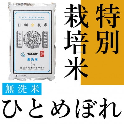 【無洗米】江刺金札米ひとめぼれ 無洗パック米 5kg　令和6年産  特別栽培米 [A0035]