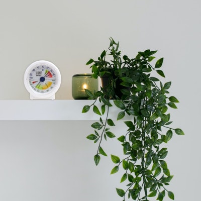 生活管理温・湿度計 TM-2401 [AJ033]