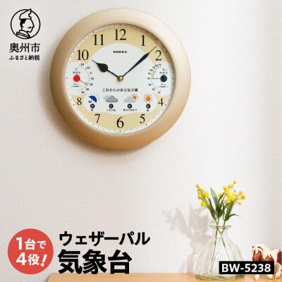 ウェザーパル・1台4役 BW-5238 [AJ062]