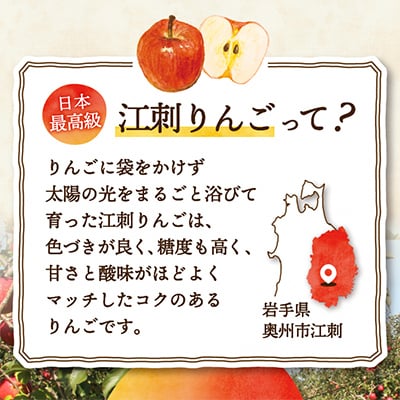 江刺りんご　サンふじ3kg(8～10玉)【50個限定・10月31日までの受付】 【A0005】